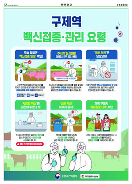 이미지보기