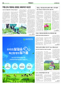 이미지보기