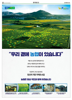 이미지보기