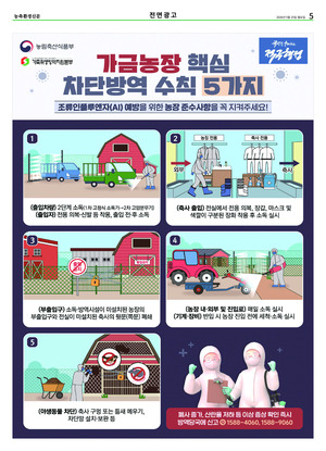 이미지보기