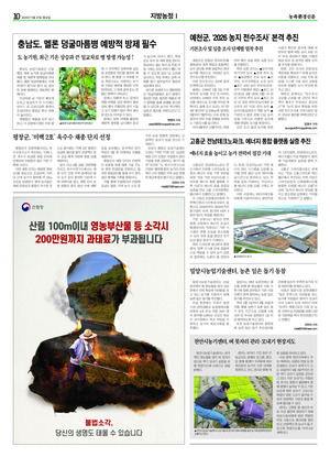 이미지보기