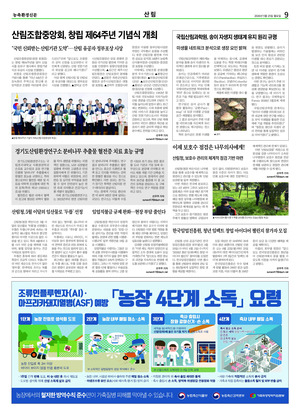 이미지보기