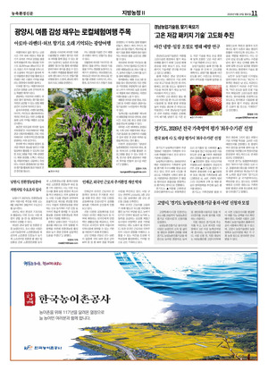 이미지보기