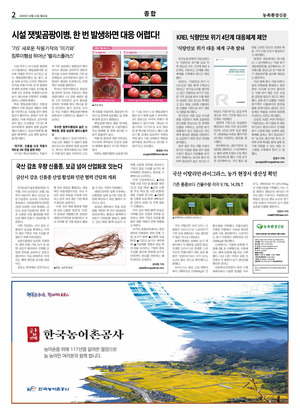 이미지보기
