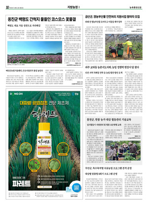 이미지보기