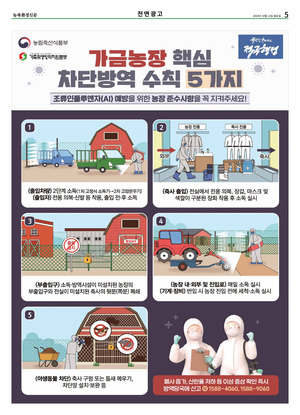 이미지보기